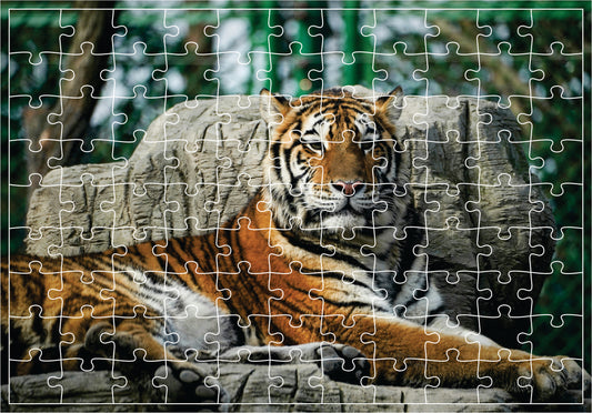 Jigsaw Puzzle - Tiger (Age 4+) 11x17 inches