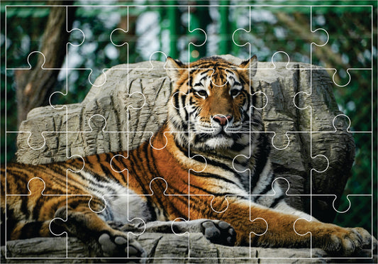 Jigsaw Puzzle - Tiger (Age 4+) A4 Size