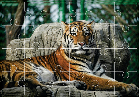 Jigsaw Puzzle - Tiger (Age 4+) 11x17 inches