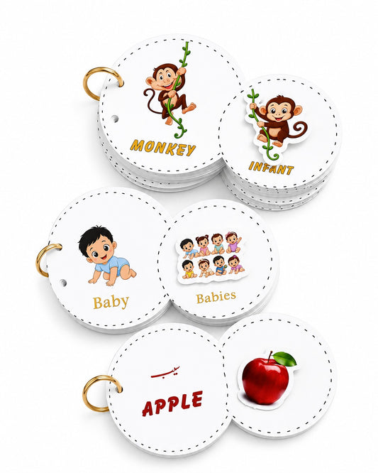 Bundle of 3 - Interactive Velcro Learning Cards - Fruits + Singular Plural + Animals - Age 3+ (16 + 16 Cards)