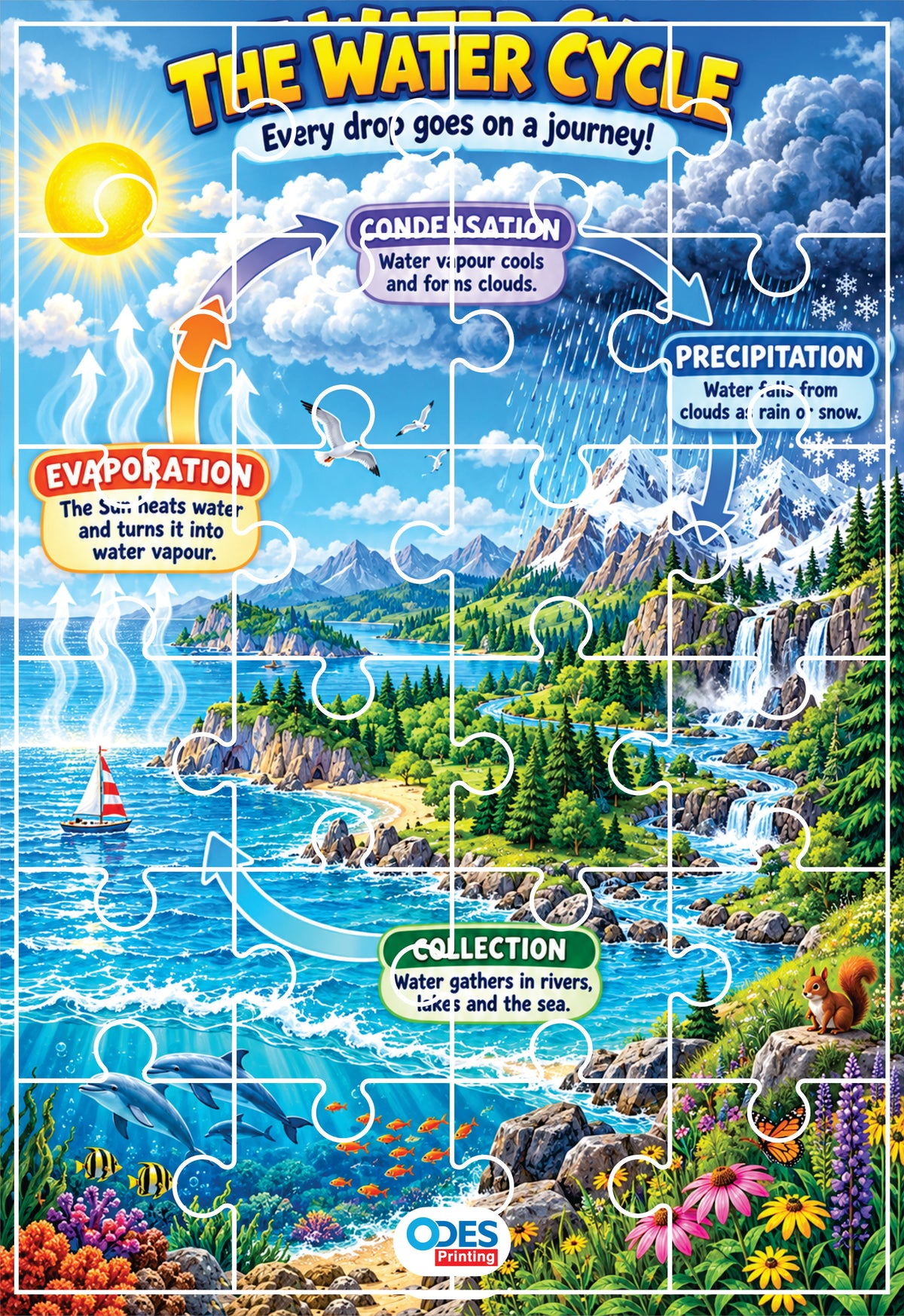 Jigsaw Puzzle - Water Cycle (Age 4+) A4 Size