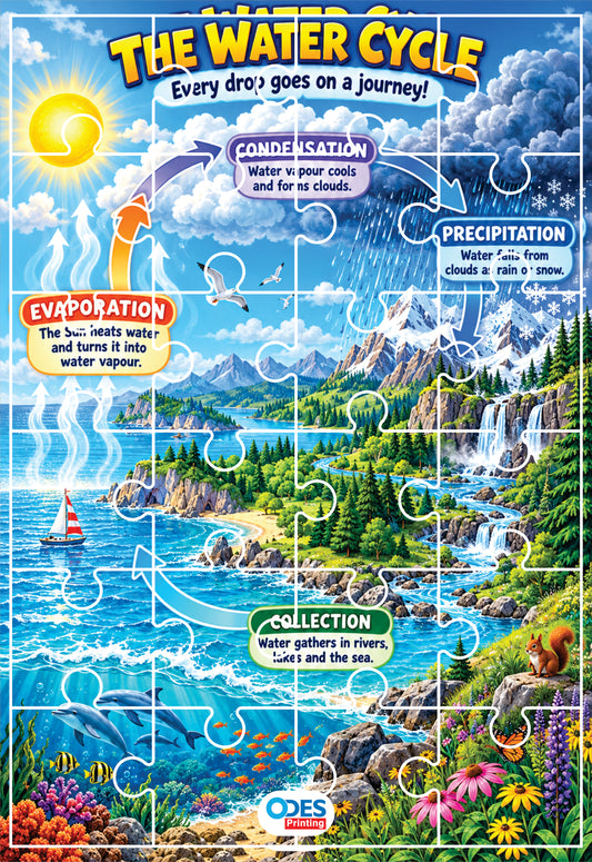 Jigsaw Puzzle - Water Cycle (Age 4+) A4 Size