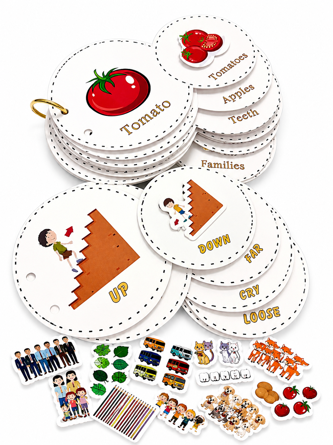 Bundle - Interactive Velcro Learning Cards - Singular & Plural  +  Word & Opposite (Age 3+) (Copy)
