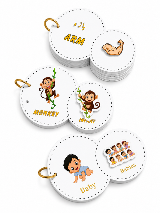 Bundle of 3 - Interactive Velcro Learning Cards - Body Parts + Singular Plural + Animals  - Age 3+ (16 + 16 Cards)