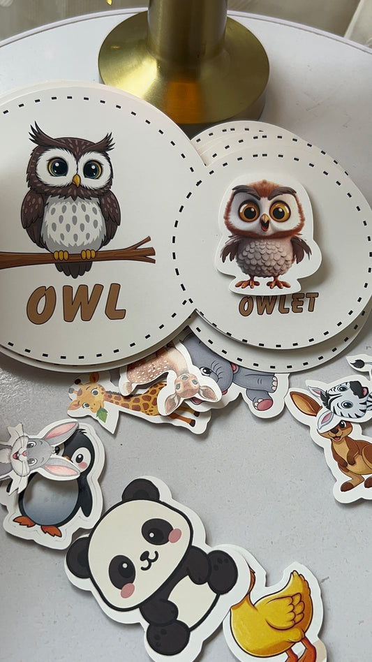 Interactive Velcro Learning Cards - Parent and Baby Animals (Age 2+) (16 cards)