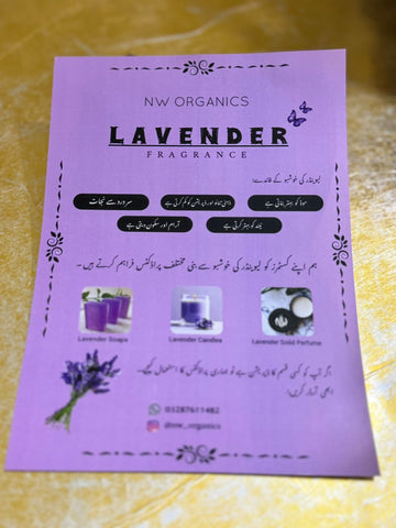 A5 Size Brochure