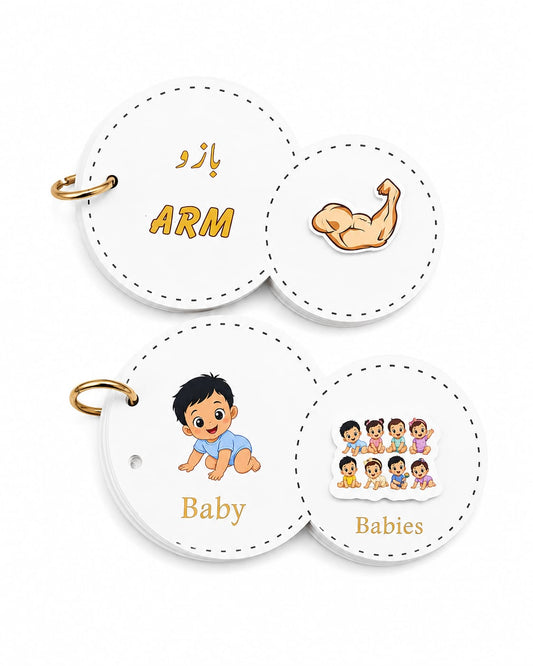 Bundle - Interactive Velcro Learning Cards - Body Parts & Singular Plural - Age 3+ (16 + 16 Cards)