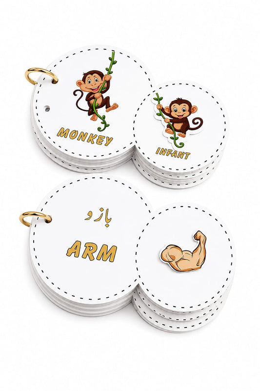 Bundle - Interactive Velcro Learning Cards - Animals & Body Parts - Age 3+ (16 + 16 Cards)