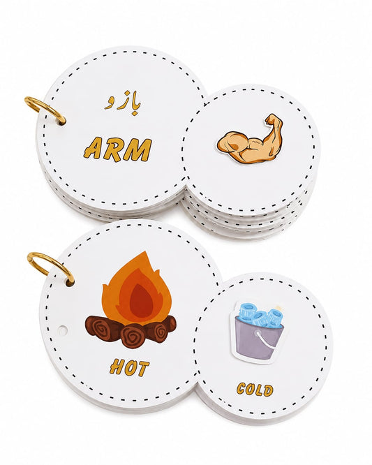 Bundle - Interactive Velcro Learning Cards - Body Parts & Words Opposite - Age 3+ (16 + 16 Cards)