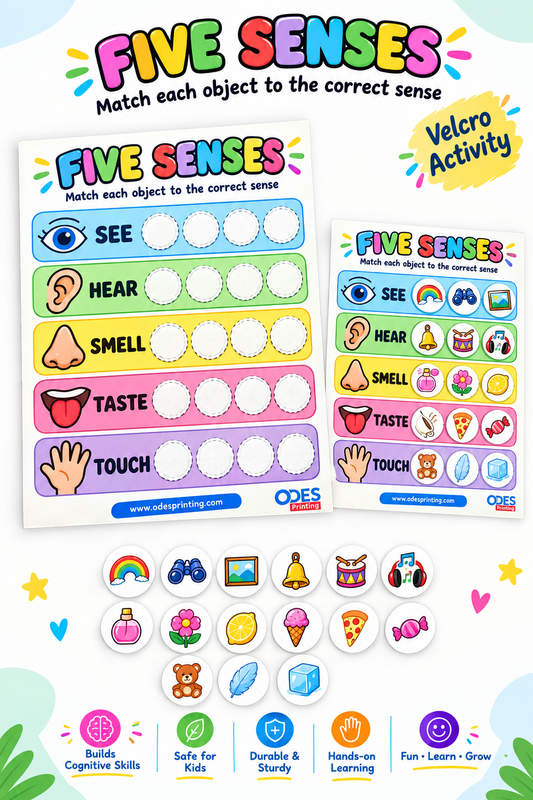 Velcro Card Board Activity - Five Senses