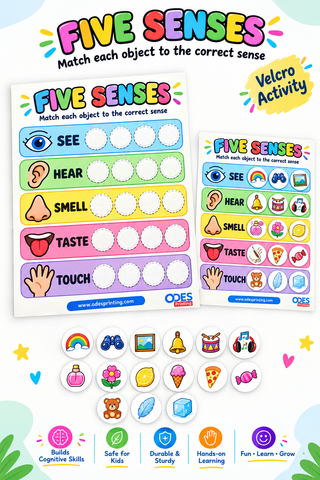 Velcro Cards - Five Senses