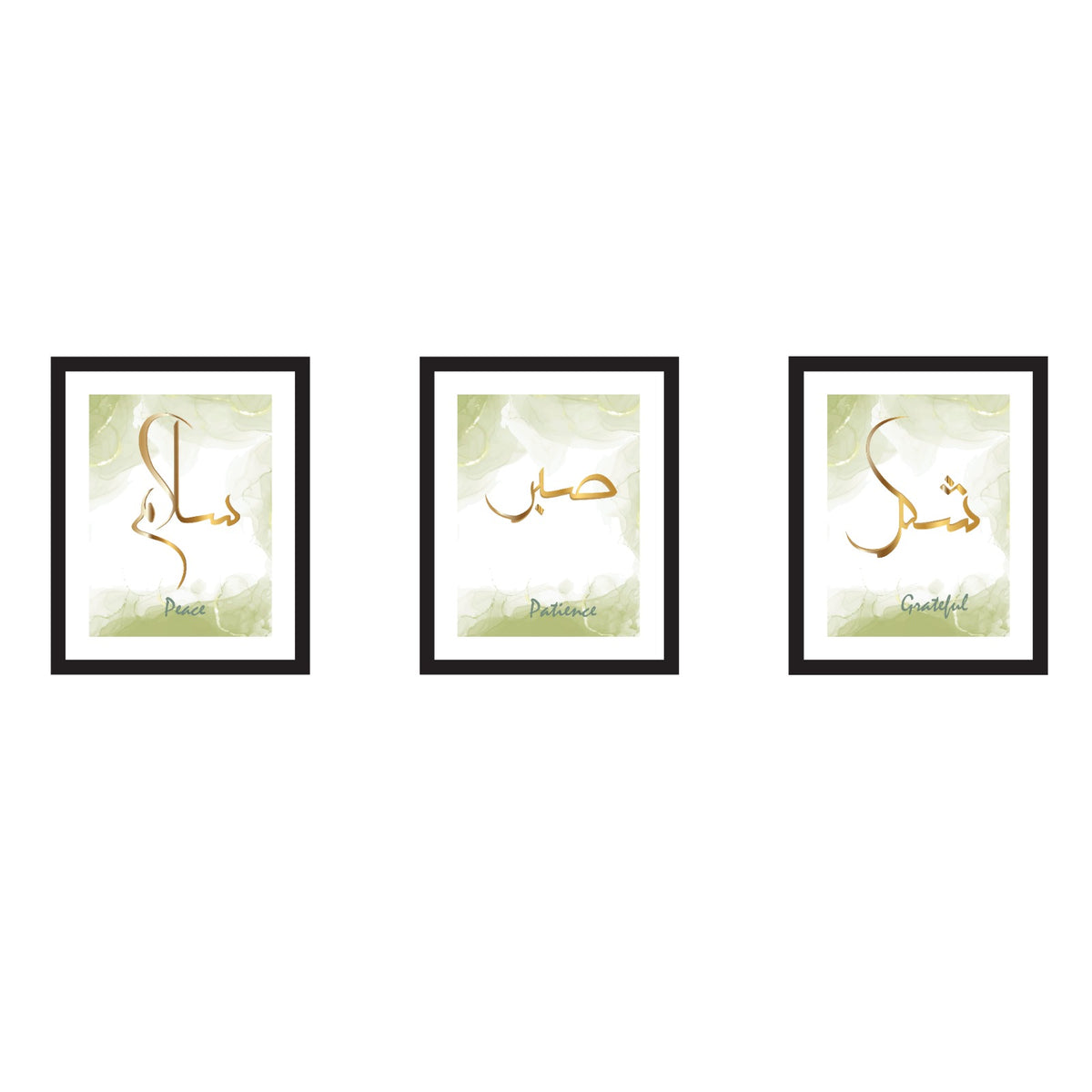 Wall Art Set of 3 (Glass Frame)