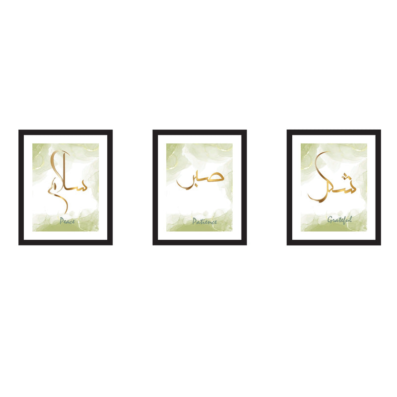 Wall Art Set of 3 (Glass Frame)