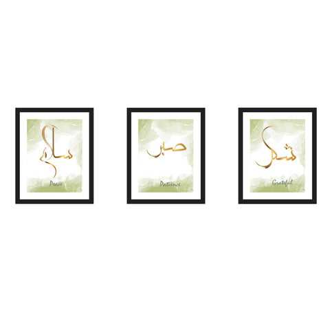 Wall Art Set of 3 (Glass Frame)